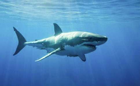 һ�l�����~�B�����~����