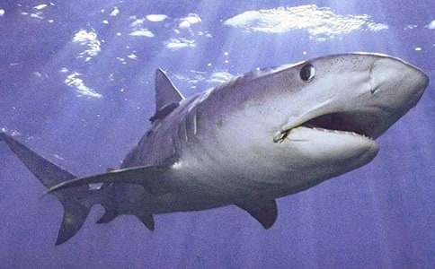 ���o(h��)���~������ƪ